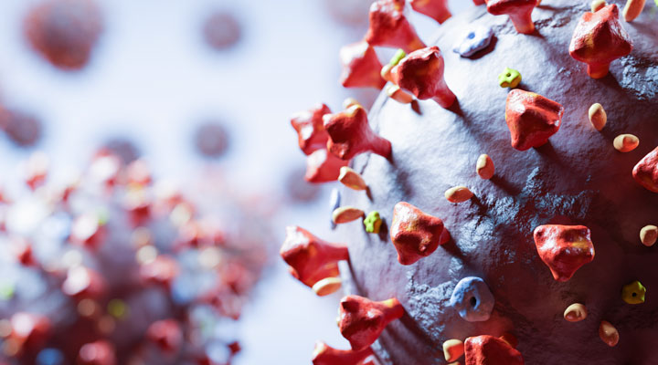 Interpreting COVID-19 Legislation’s Impact on NACE Members’ Small Businesses